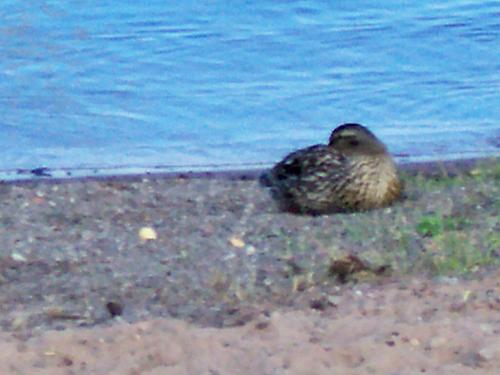 2022/07/42d93e5689a5bbcdce96afe16eda4204