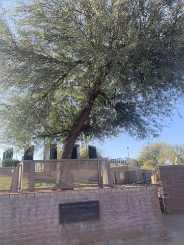 FF7D5F0A-983D-44C4-A085-7F05CD73120D