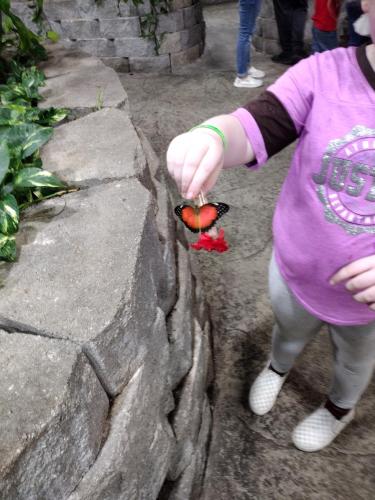 7fc903c7-f87d-44cf-912f-7edca8919bfb