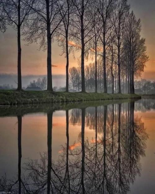 46DF1B2A-8B8B-46C2-A9C7-12C7C4E9626A