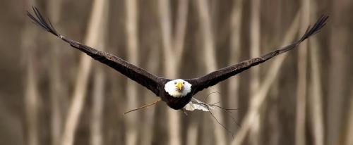 1179EC6D-9B65-4371-AF16-EBA2A7B611C0