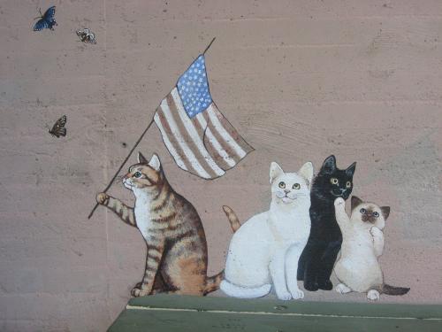 BE1E4747-6714-43F3-8D1B-BC0671F6DEE3