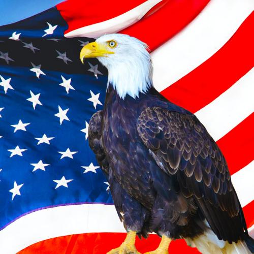 American-Eagle-1