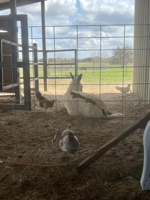 E17679B4-FB96-428E-B4C5-335574F596A1