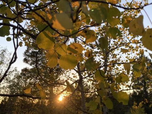 308882166_3246214555630357_4833702061942908953_n