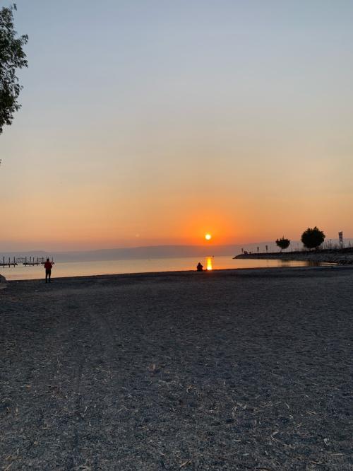 73E43EC4-40E4-425E-9754-0214701D12B4