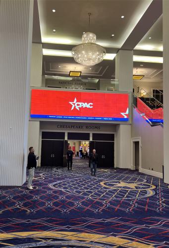 3BB49E96-CC46-4A18-9D1B-6A7EA0E250E6