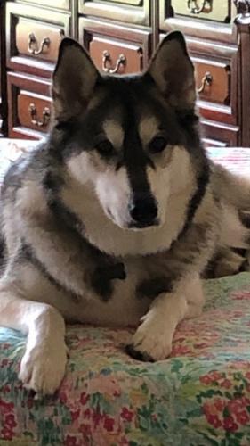 7FACF0D6-78C1-4771-BE58-F85B9DB41D71