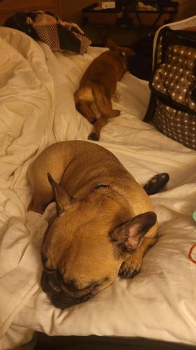 d45c698d-5829-4967-9d71-782296ae11bd