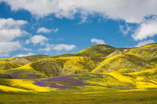 ca924292-b2d5-4048-b128-e971a69ef52f