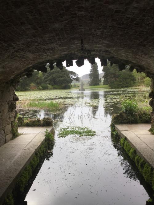 F31555A8-0EC2-470F-8855-C2BDDE00D249