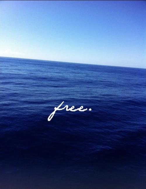 04541AC9-EF62-4F49-959A-9A905244CEA6