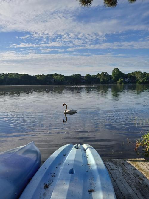 20220815_070208_HDR