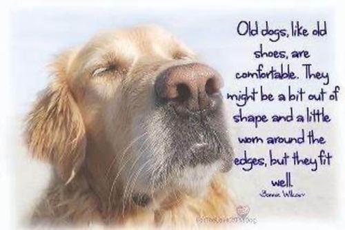 239A6196-8809-480B-9B8E-127E505E9A1E