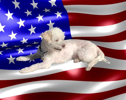 7F985649-9A74-408D-8EBF-2BD53AA3F130