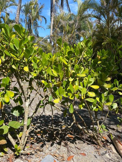 621D4945-0CE7-49B3-AB73-351199CB384C