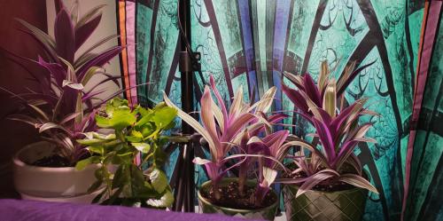 b30d61f4-3ad0-42fa-89df-3a250c4fdc96