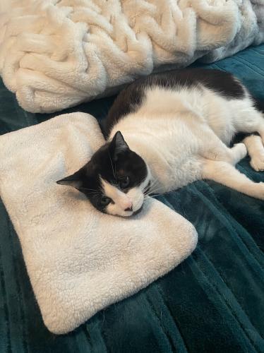 1C458ADE-D15A-44D1-AB32-5A031897162C