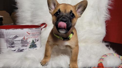 0f21082c-d0c7-4b26-845b-4952463108cf