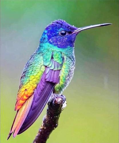 091FF8EF-1337-495F-AA68-6DA8A3A54AAA