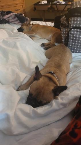 ee64fffb-ee1e-40fb-8853-606ae7674df1