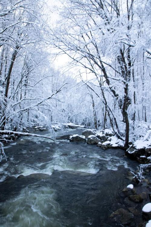 e55470af-1650-4c0f-b4dd-d5e1f1e07b00