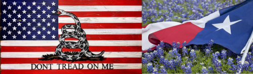 US Flag Texas Bluebonnets