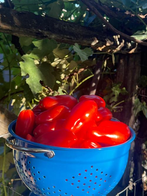 D7428DB9-F0CD-43C3-8578-CC22575C163F