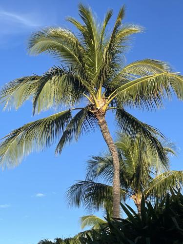 March 13, 2023