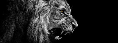 acbf998a4203718de402e571fb106775