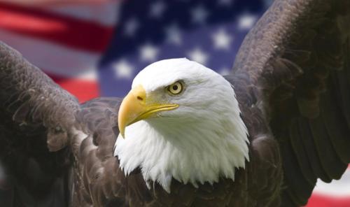 14115381_10208871859987756_3512477597288290087_o