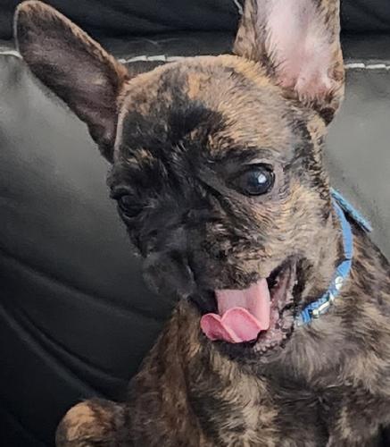 March 21, 2023