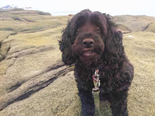 7B710365-084A-4ED5-B475-DA4A0573BDD5