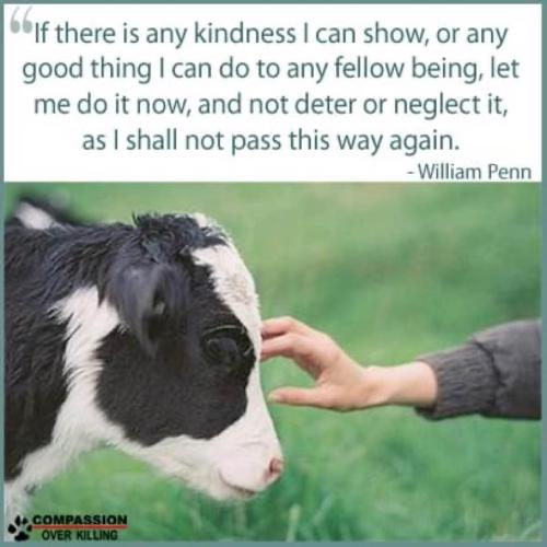 58E72103-9AE1-4537-B113-378D00029D6A