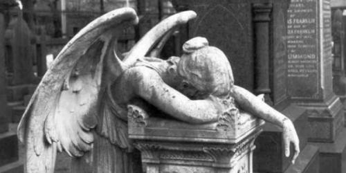 1E8D7EFD-6051-422B-968F-3780896B655E