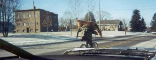 11837_104945129519956_100000134088435_129743_1107996_n