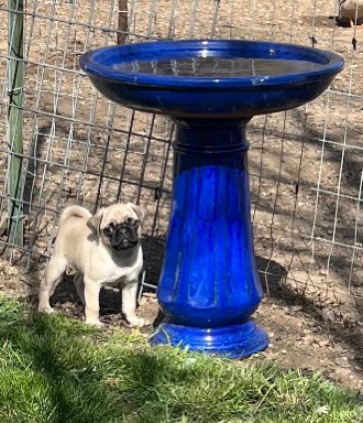 D7C8FBDB-CB4F-4B23-87D3-04E4BB8448D6