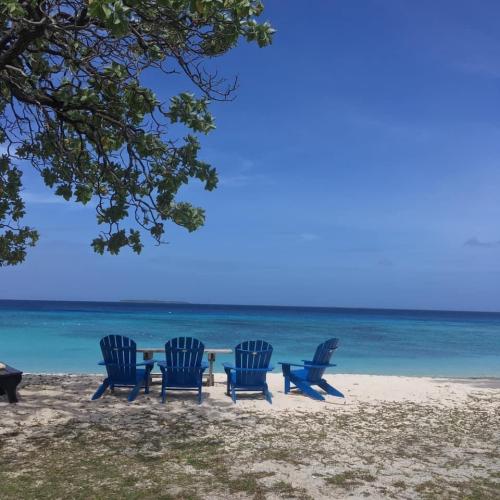 A7FEFB92-7021-4F03-B332-67DC47455717