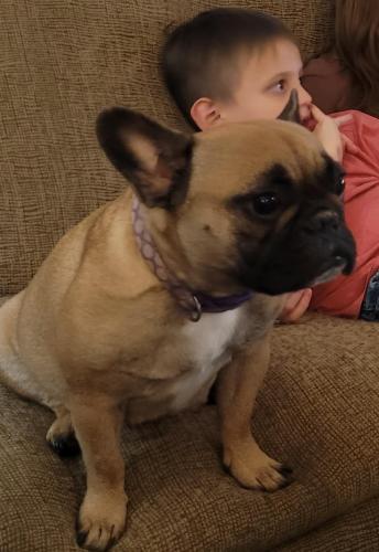 1eb568fb-2583-4059-92a1-37df5e49572f