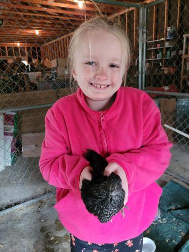 44e4f5f6-ebee-4c33-829b-1c404eb6801b