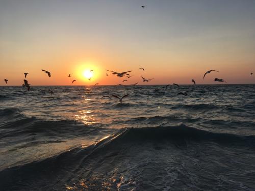 6E40F322-80B2-44D2-A39F-6905C5D5D8AB