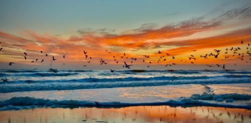 002E8531-CB59-44A4-B1B0-2E238D9B96CC