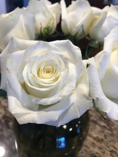 B9786A9A-EB9F-4D07-9EAE-6D76D3F62C63