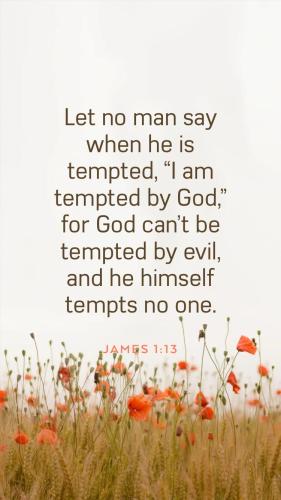 42CAEB10-9970-4A26-81F5-A5A19562DAD2