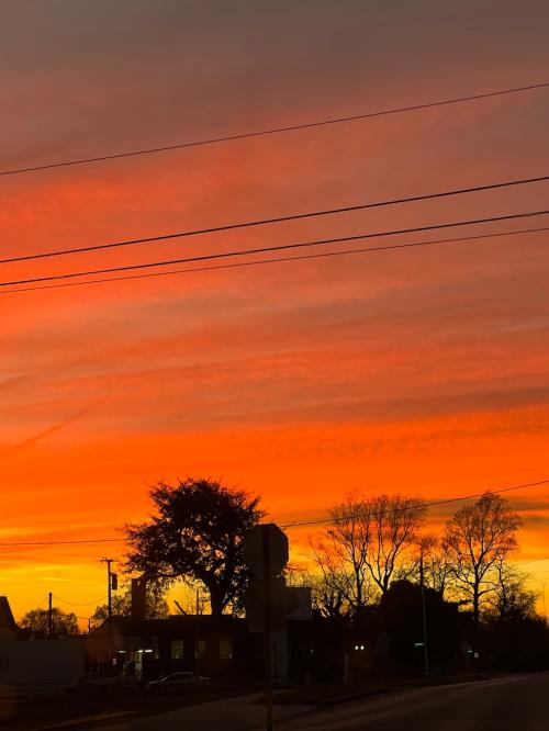 F7560A42-04F0-4DFE-92AE-DF517E5C611C