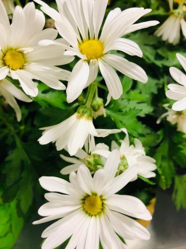 22D2CB5E-A175-474E-96E5-B5412129716F