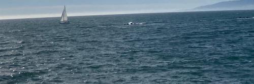 510517B1-C8FA-4F39-918C-1C3196166D07