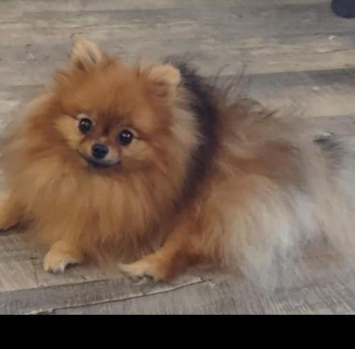 2b08f0b2-5e84-42ec-bdf0-ea8159243758