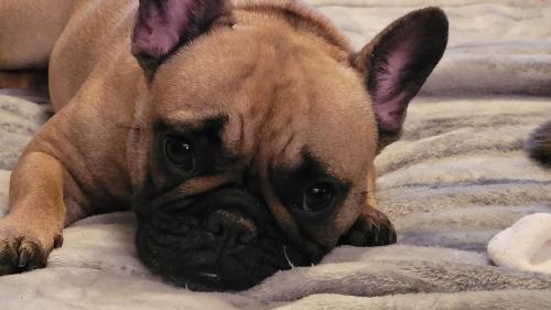 27c3d859-7775-40fd-a858-7bb972e04895