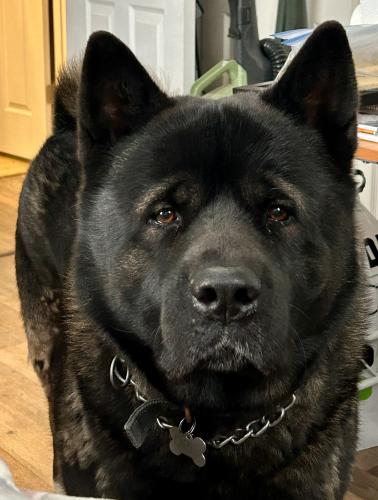 B5BF81B3-A387-4BB0-B2BF-5721A9982916